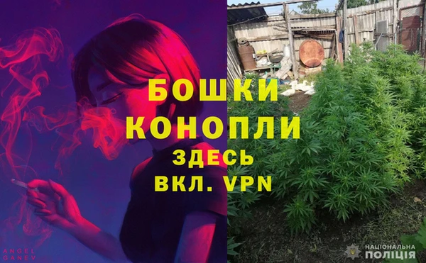СК Бронницы