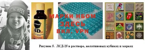 СК Бронницы