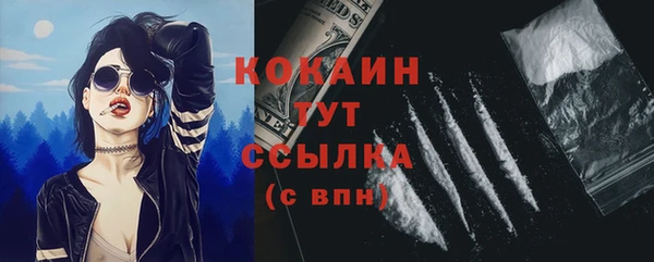 СК Бронницы