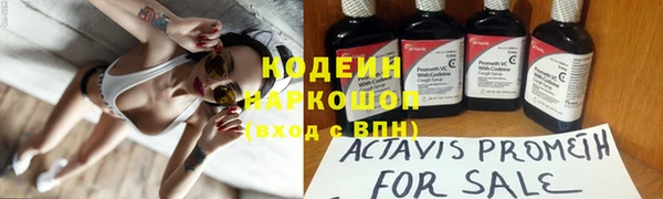 ECSTASY Бородино