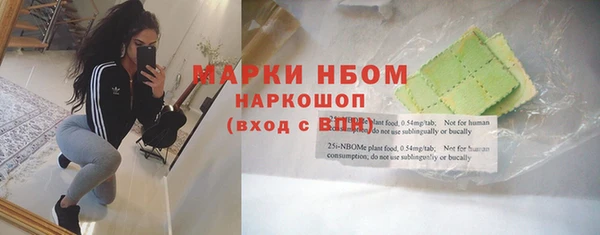 дмт Инта