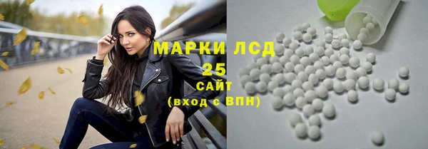 ECSTASY Инсар