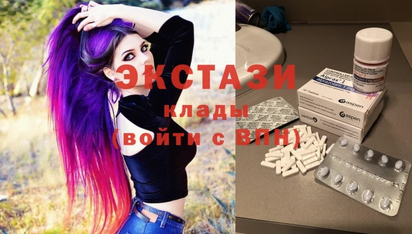 ECSTASY Бородино