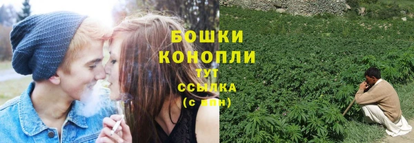 ECSTASY Бородино