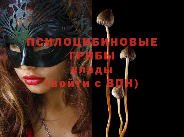ECSTASY Бугульма