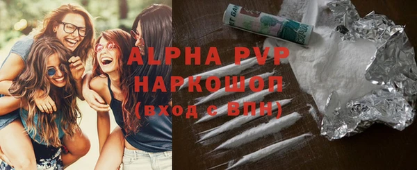 СК Бронницы