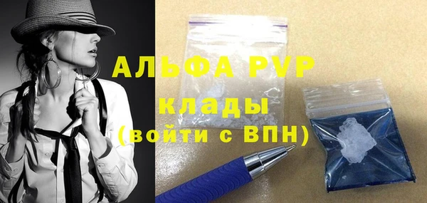 СК Бронницы