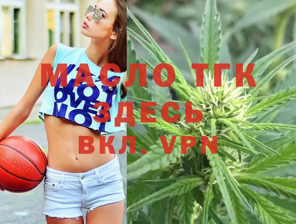 ECSTASY Бородино