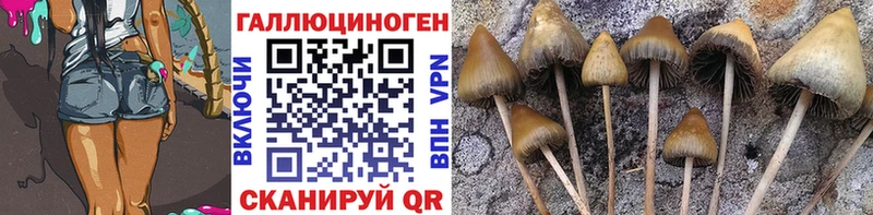 нарко площадка состав  Кондрово  Галлюциногенные грибы мицелий  наркота 